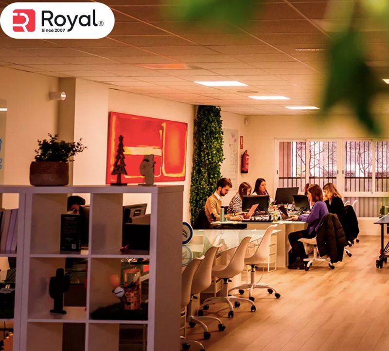 Royal Influency: Transformando Sueños en Éxito Digital