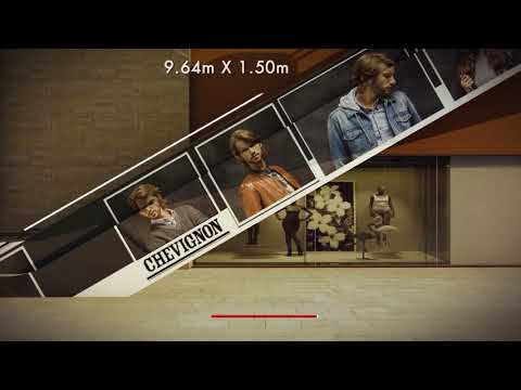 Bionic Collective: Transforma tu Marca en una Experiencia Inolvidable