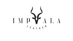 Impala México: Tu Socio en Influencer Marketing