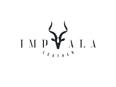 Impala México: Tu Socio en Influencer Marketing