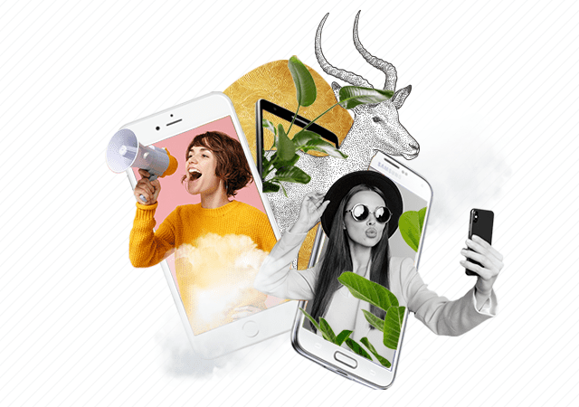 Impala México: Tu Socio en Influencer Marketing