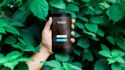 VoxFeed: La Plataforma para Agencias de Influencers en México