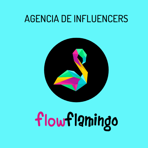 FlowFlamingo: Elevando Marcas a Nuevas Alturas con el Poder del Influencer Marketing